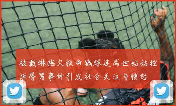 被戴琳拖欠救命钱球迷离世姑姑控诉辱骂事件引发社会关注与愤怒