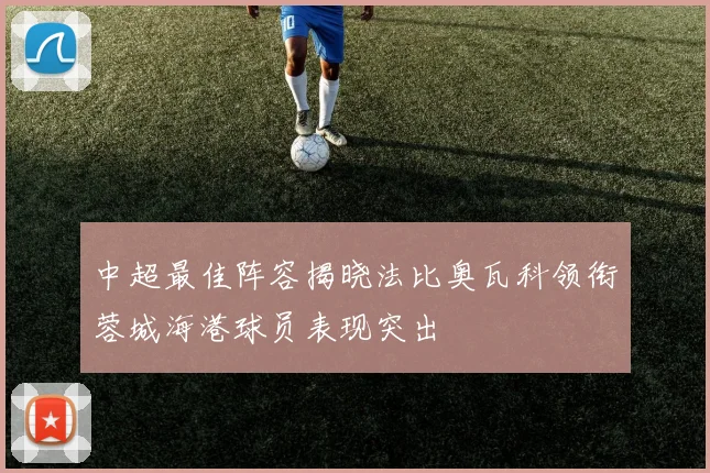 中超最佳阵容揭晓法比奥瓦科领衔蓉城海港球员表现突出