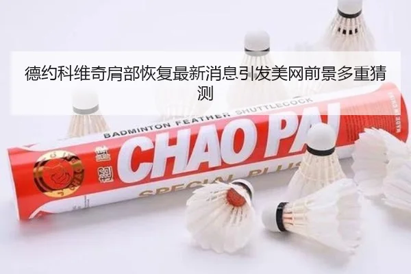 德约科维奇肩部恢复最新消息引发美网前景多重猜测